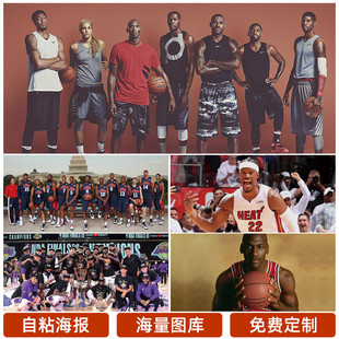 对米特罗维